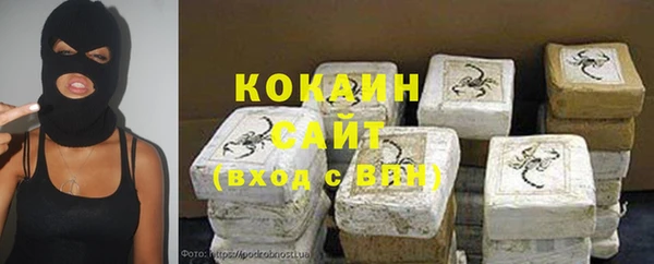 крисы Алексин