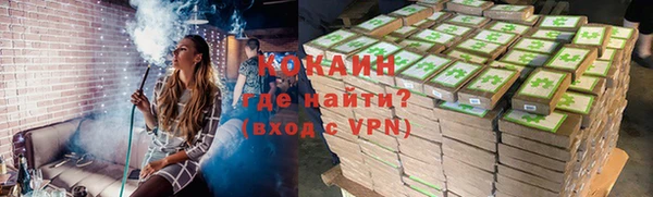 крисы Алексин