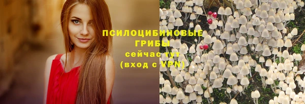 крисы Алексин