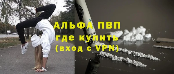 крисы Алексин