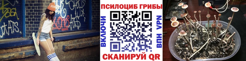 даркнет сайт  Гуково  Галлюциногенные грибы мицелий 